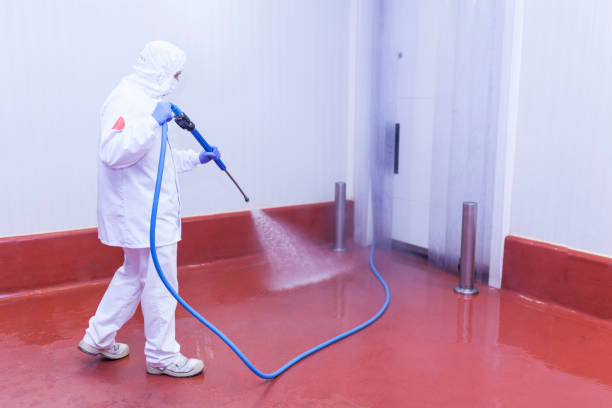  Clermont, GA Pressure Washing Pros